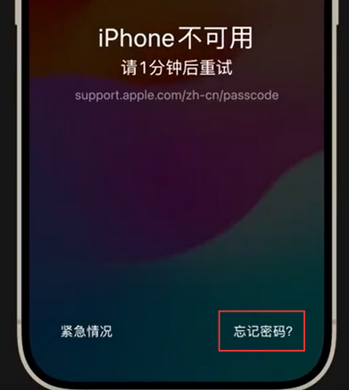 长白苹果手机密码维修分享iPhone忘记了刚设置的密码 